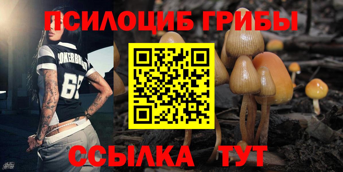 Галлюциногенные грибы ЛСД Дубна