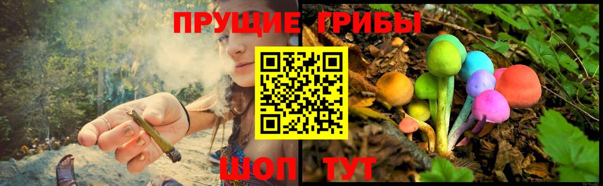 Галлюциногенные грибы GOLDEN TEACHER  Вход с VPN  Дубна 